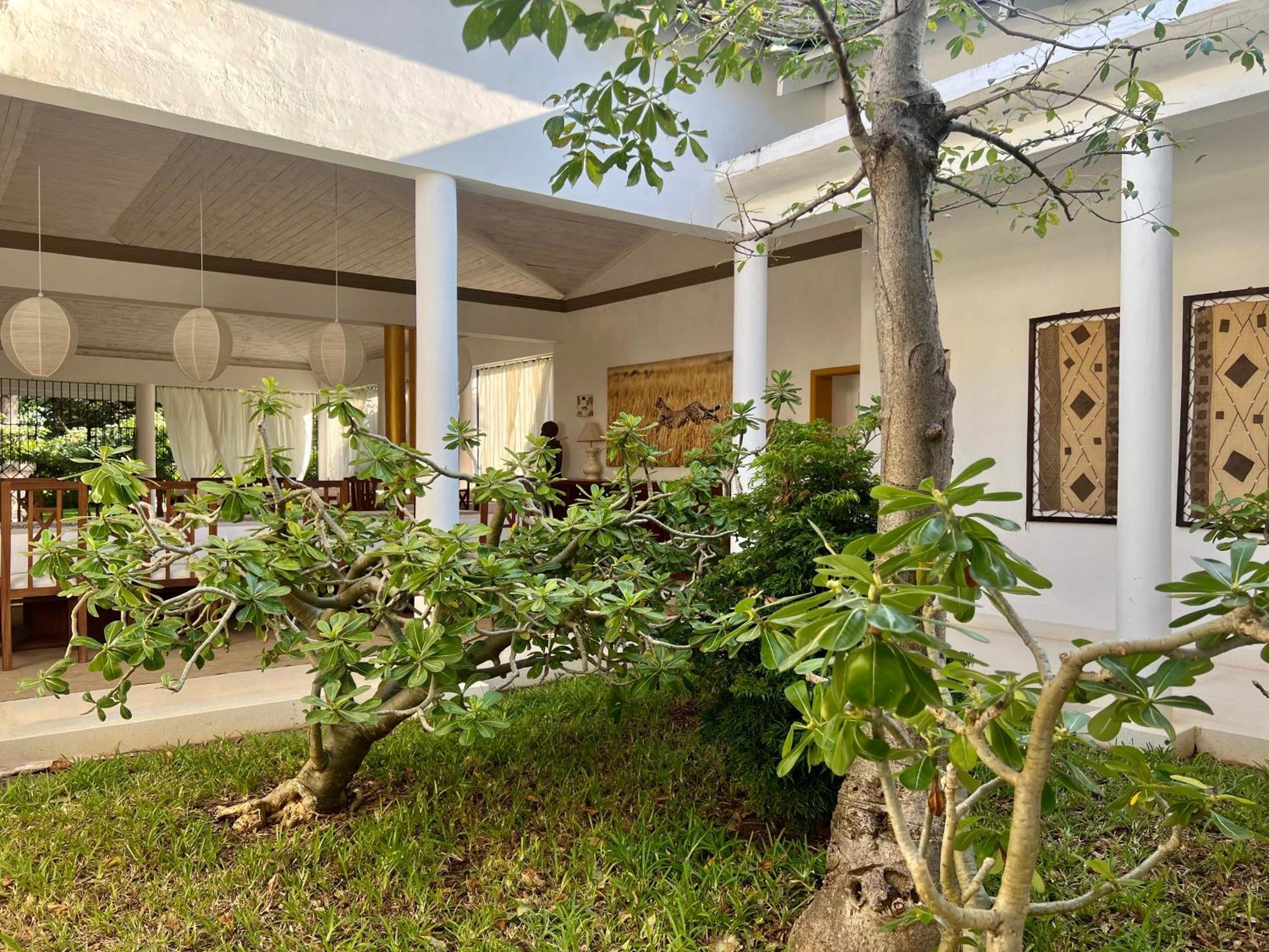 Nyumba Ya Mbuyu Hotel Malindi Exterior photo